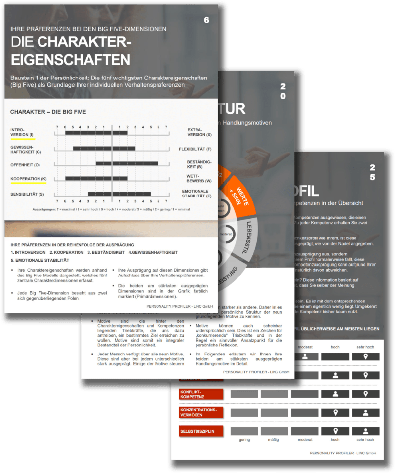 LINC Führungskräfte-Coaching Nieder-Olm / Mainz Beispiel für einen Auswertungsbogen