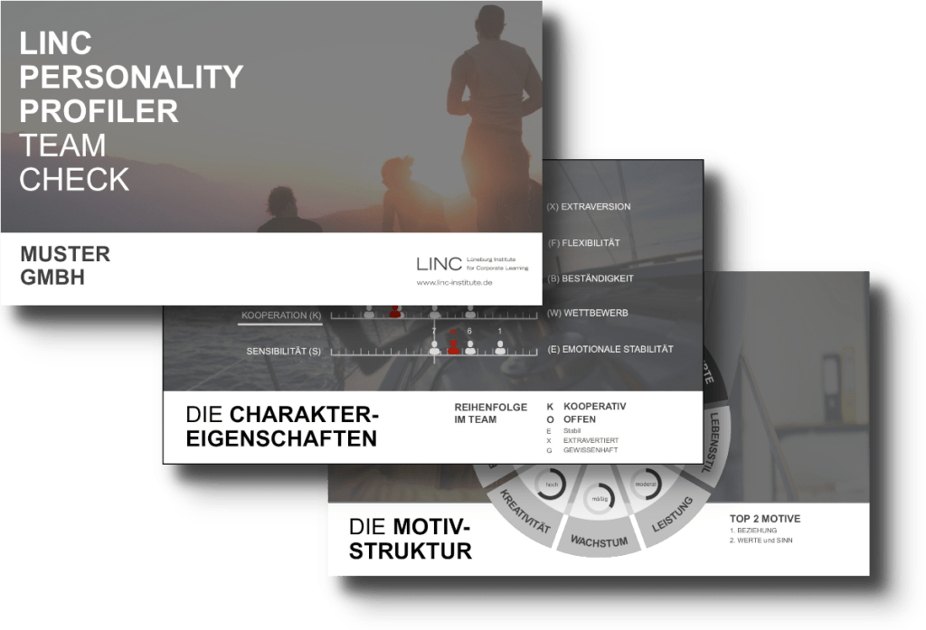 LINC Team-Coaching Auswertung Nieder-Olm / Mainz